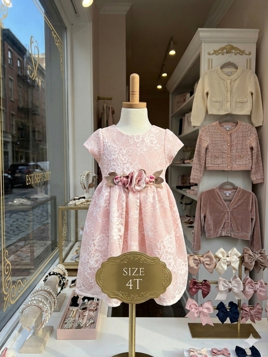 Mia & Mimi Other - Mia & Mimi Delicate Pink Lace  Dress w/Stationary Floral Sash, Size 4T, EPreLC